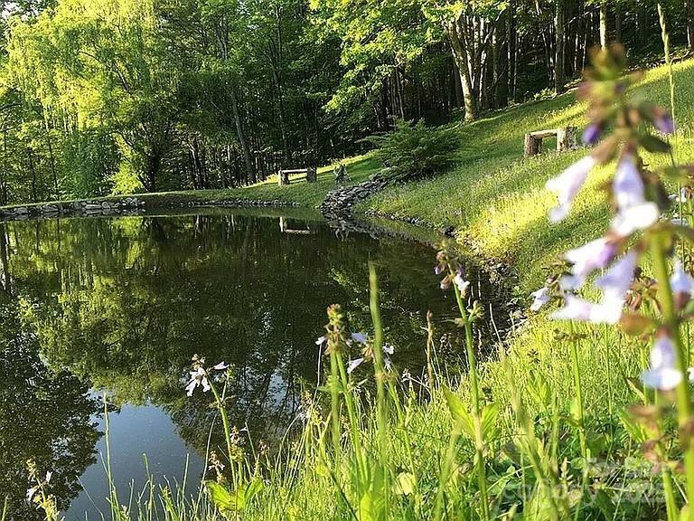 Property Photo: 617 Norton Fork Road NC 28743