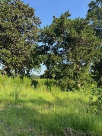 Property Photo:  1096 Buchanan Road  SC 29102 