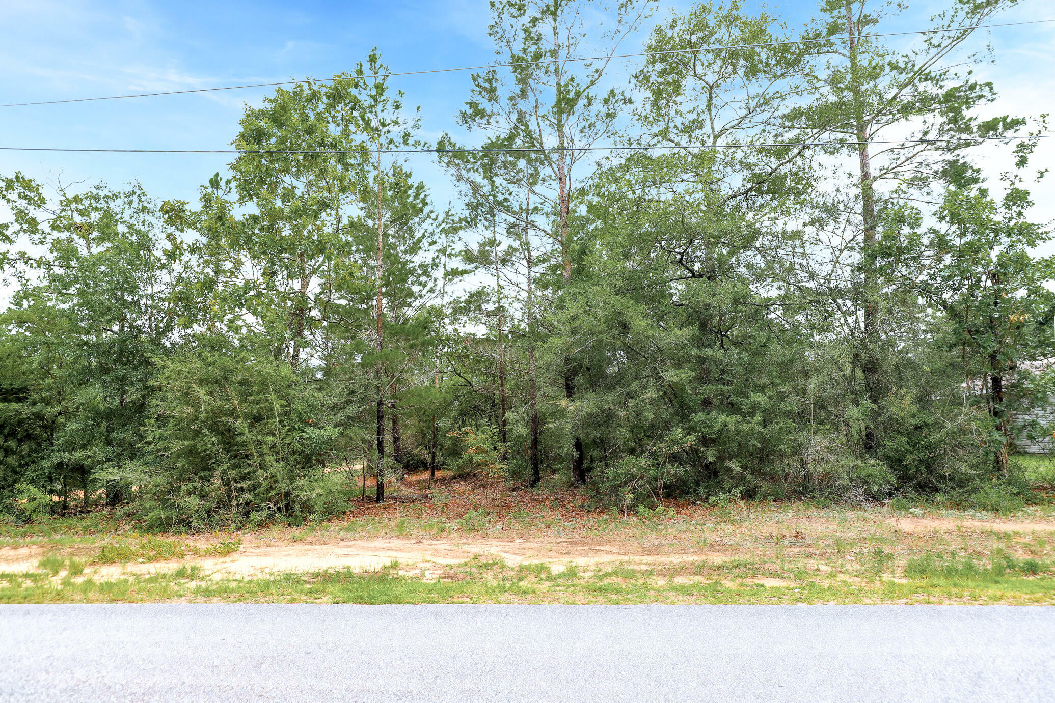 Property Photo:  Lot 4 Leonardo Lane  FL 32433 