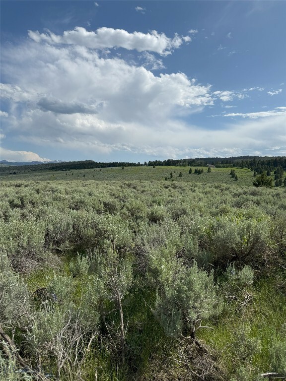 Property Photo:  Tbd Madison River Ranches Lot 14  MT 59720 