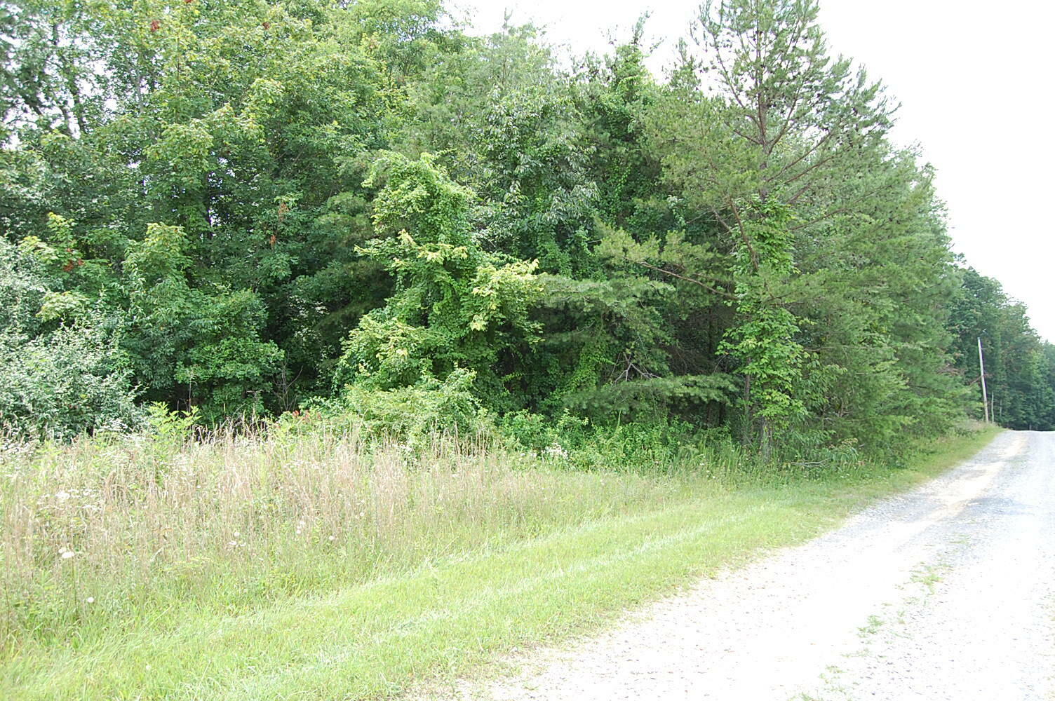 Property Photo: 10 Laural Brook Road TN 37327