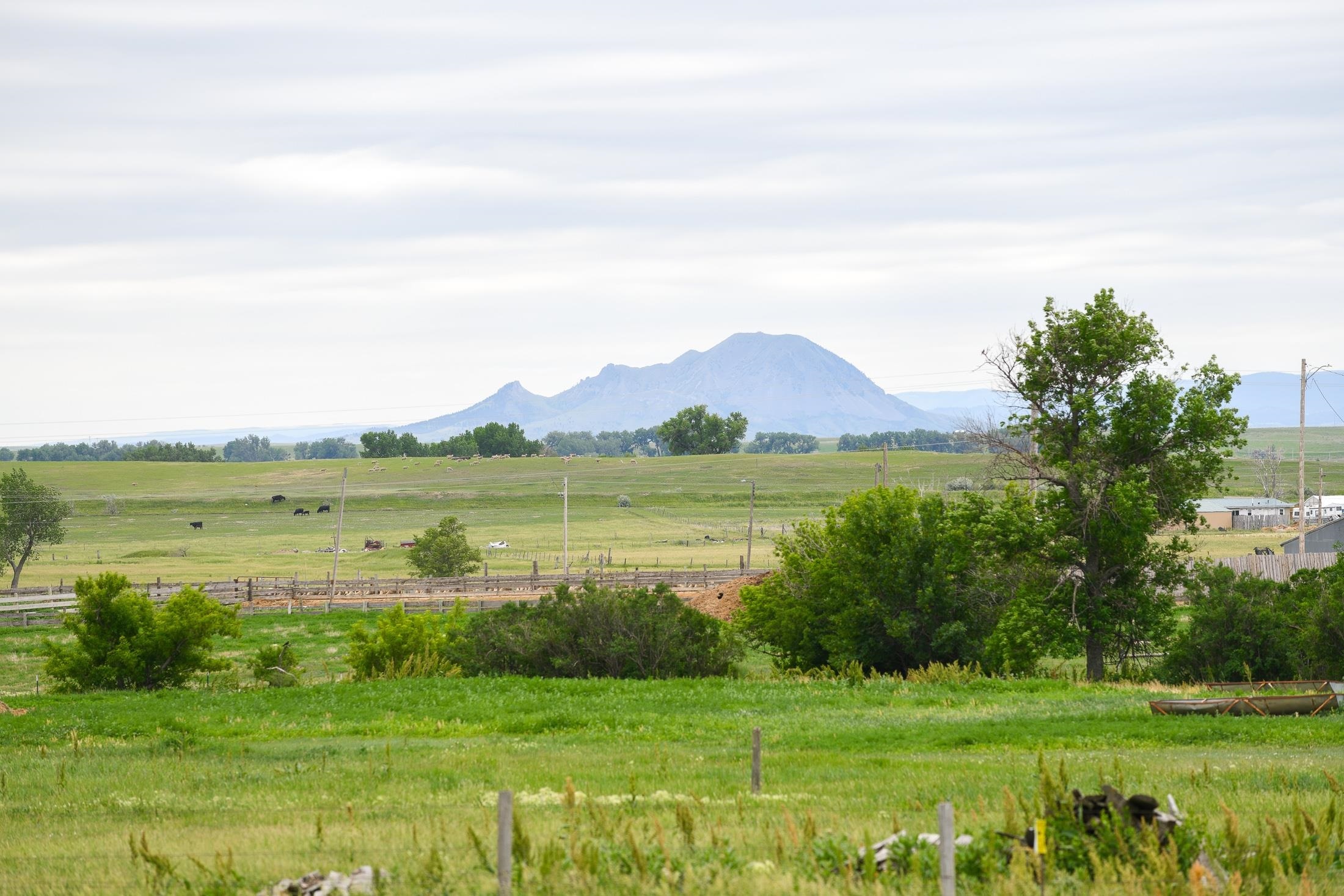 Property Photo: 211 Ash Street SD 57760