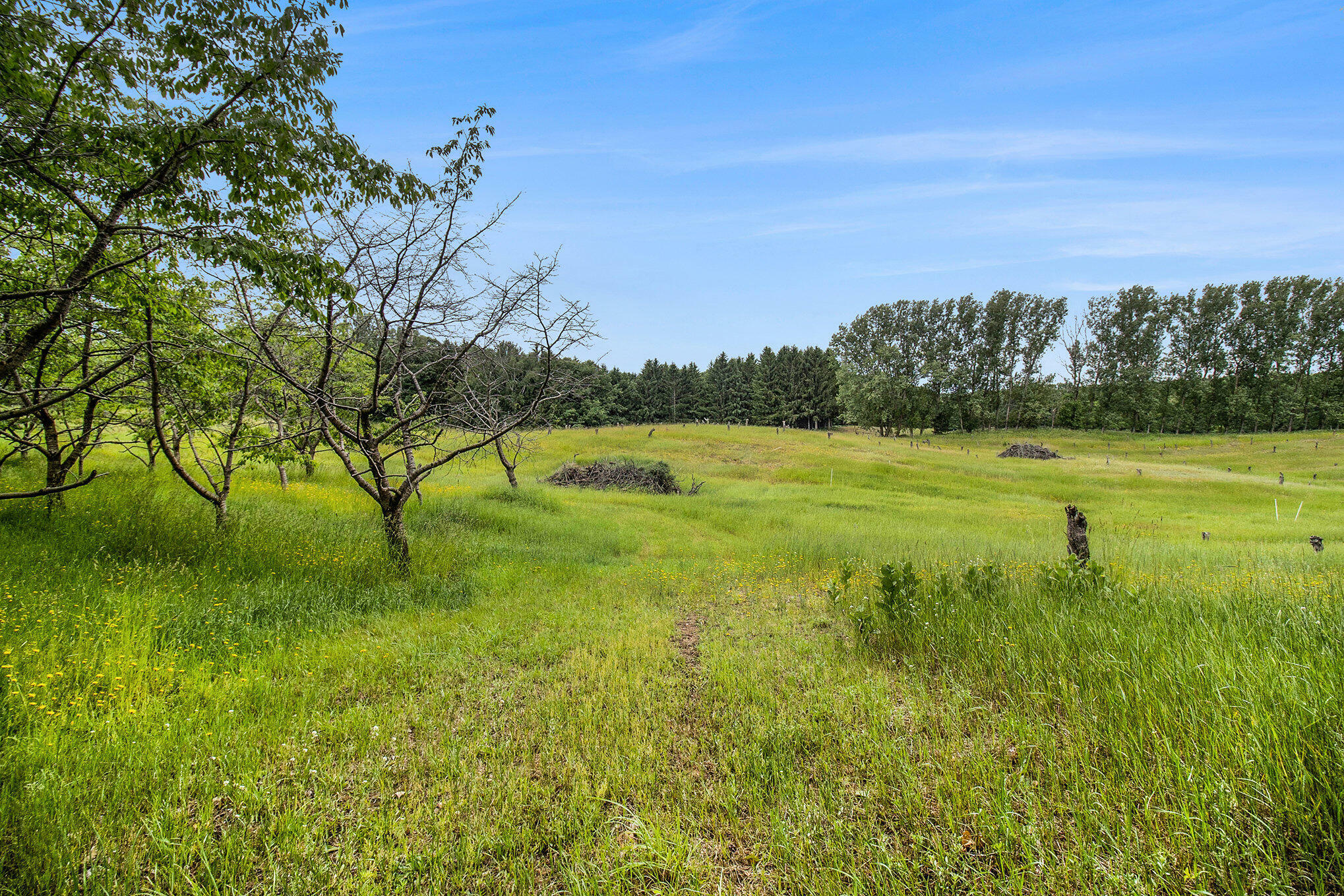 Property Photo: 19.19 A W 40th Avenue MI 49436