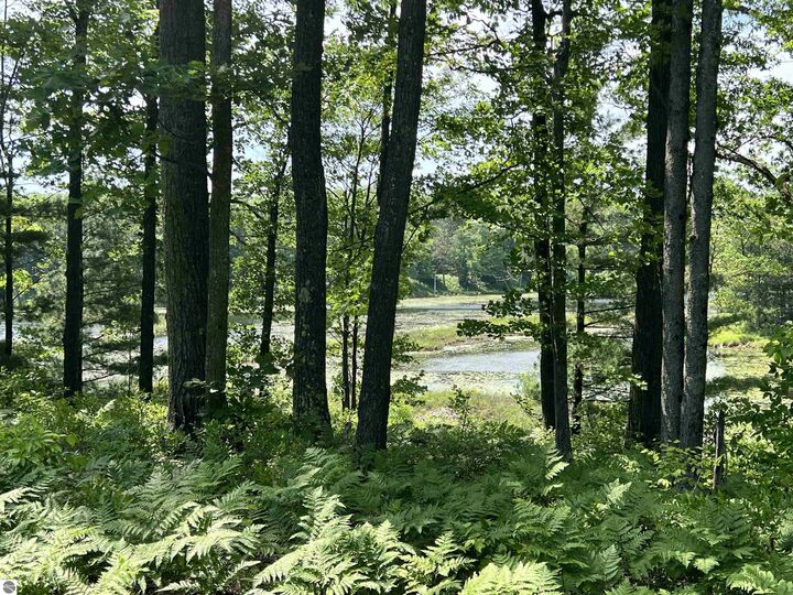 Property Photo:  8653 Lakeside Trail  MI 48625