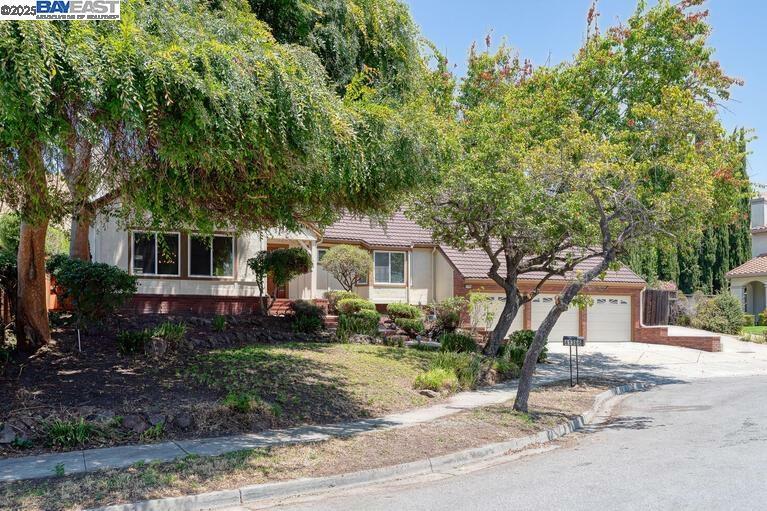 Property Photo:  41366 Charlita Ct  CA 94539 