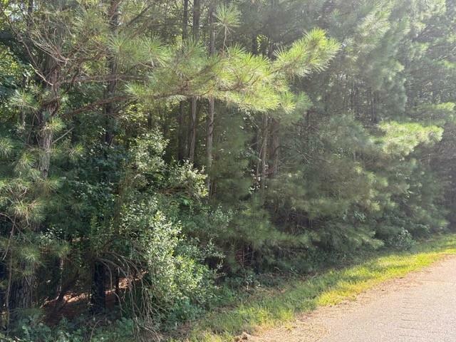 Property Photo:  0 Amanda Court  GA 30222 