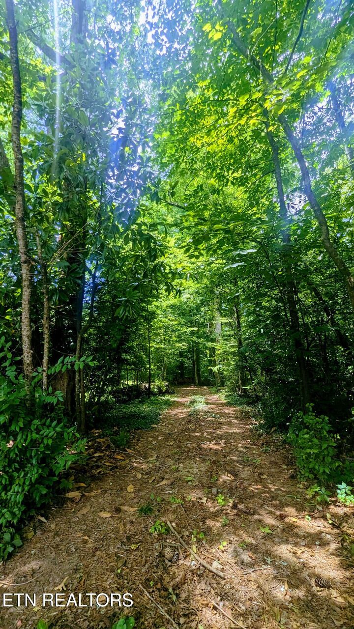 Property Photo: 101 Concord Rd TN 37830