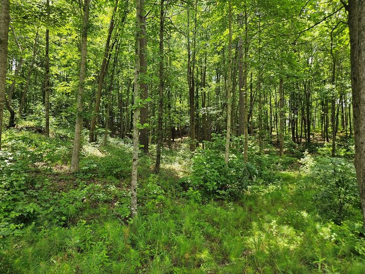 Property Photo:  0 Twisted Oak Road  GA 30175 