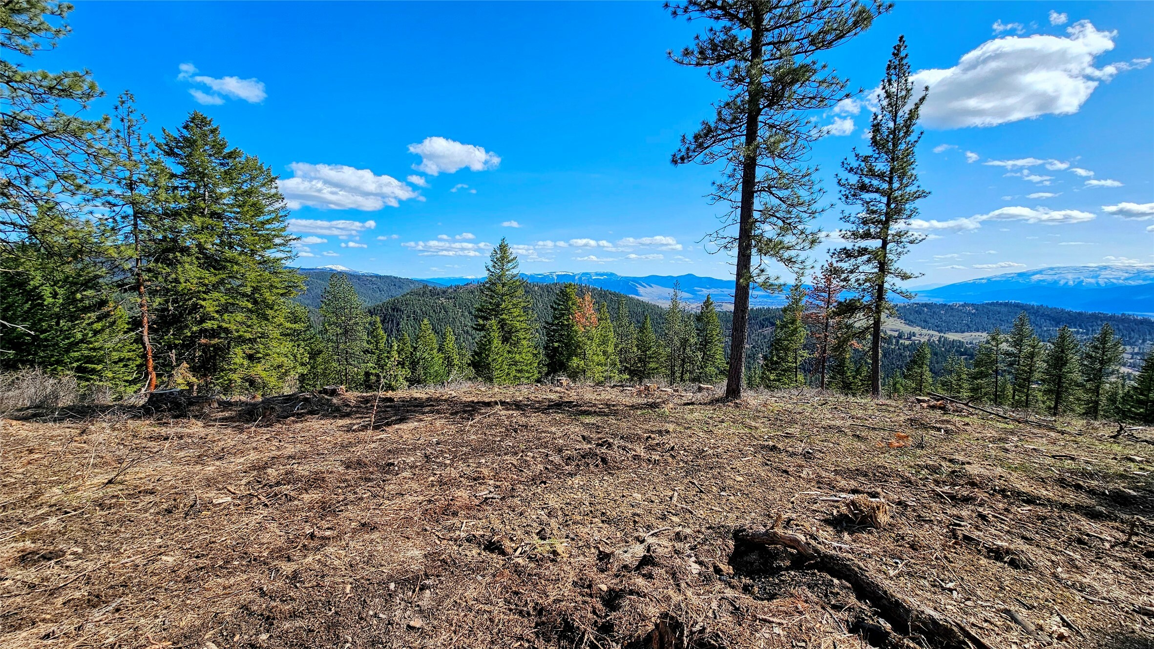 3485 Ridge View Road  Missoula MT 59808 photo