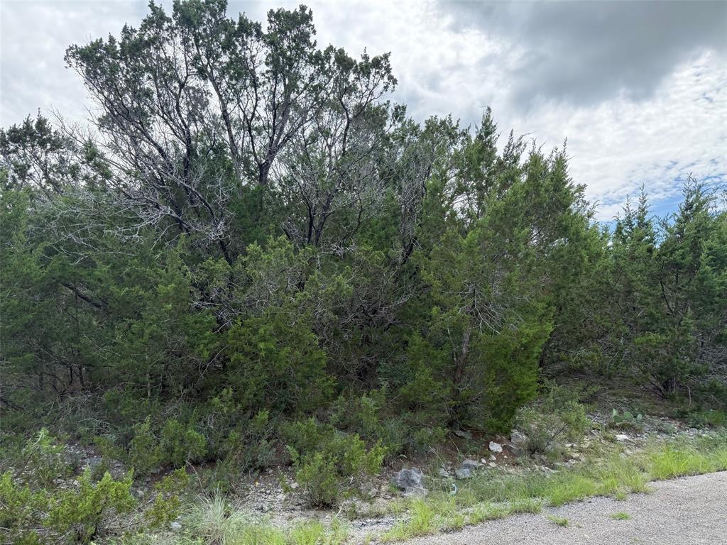 Property Photo:  4705 Evening View Drive  TX 76048 