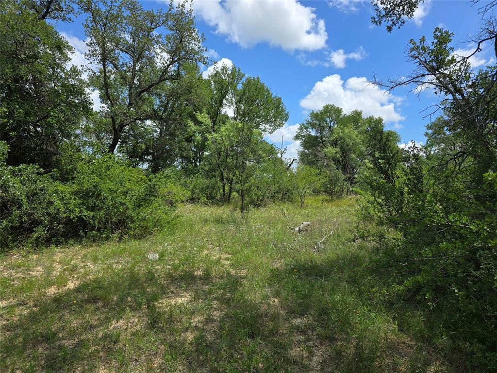 Property Photo: 350 Highway 2486 TX 76455