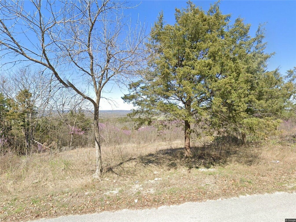 7 Suntop Lane  Holiday Island AR 72631 photo
