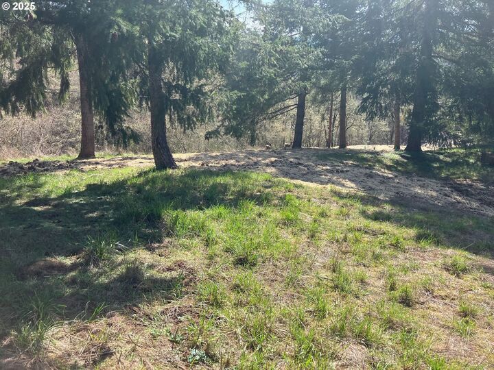 Property Photo:  Center 2  OR 97378 