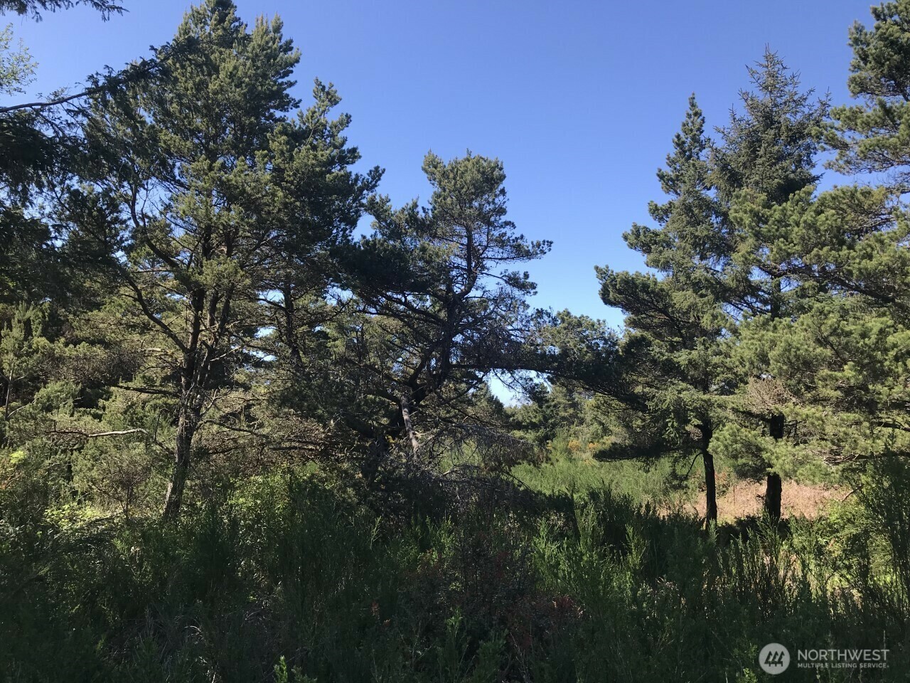 Property Photo: 5 Sea Mist Lane WA 98595