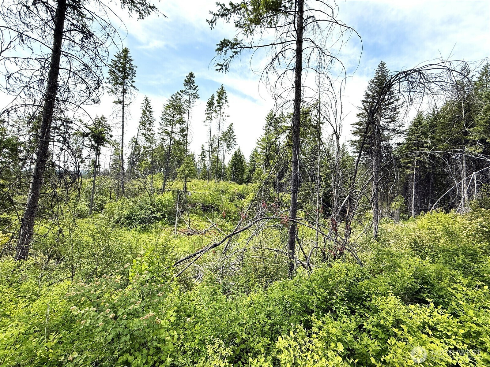 Property Photo: 0 Lot 4 Rockabye Lane WA 99118