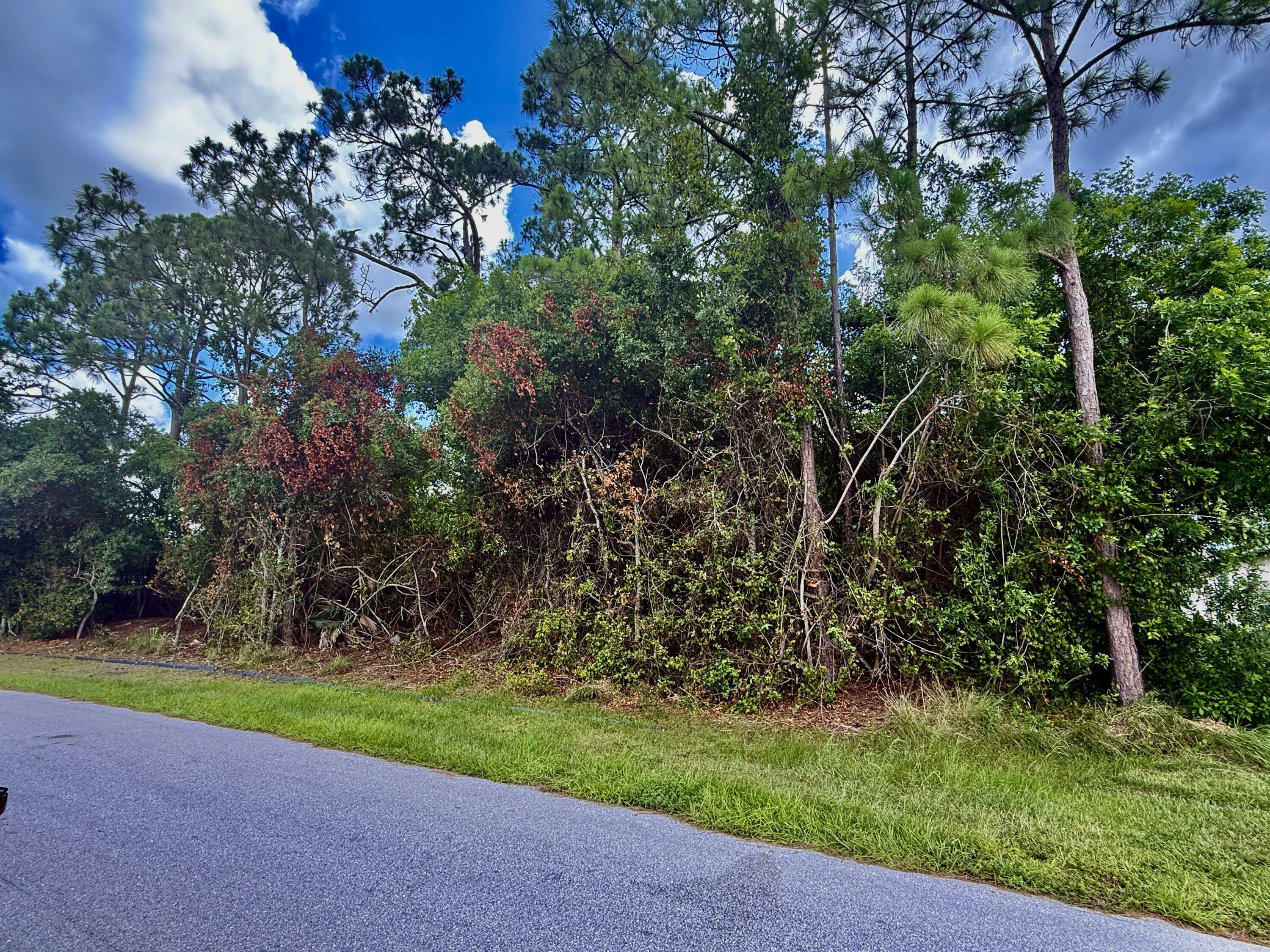 Property Photo: 4174 SW Batavia Street FL 34953