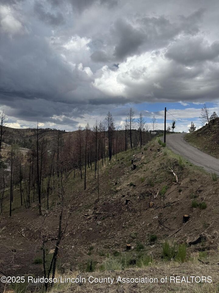 Property Photo:  110 Tahoe Drive  NM 88345 