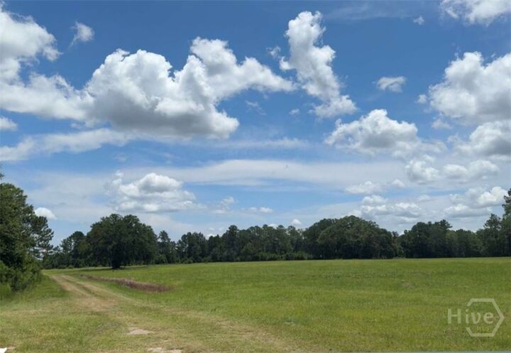 Property Photo:  35+ Acres Wells Road  GA 31313 