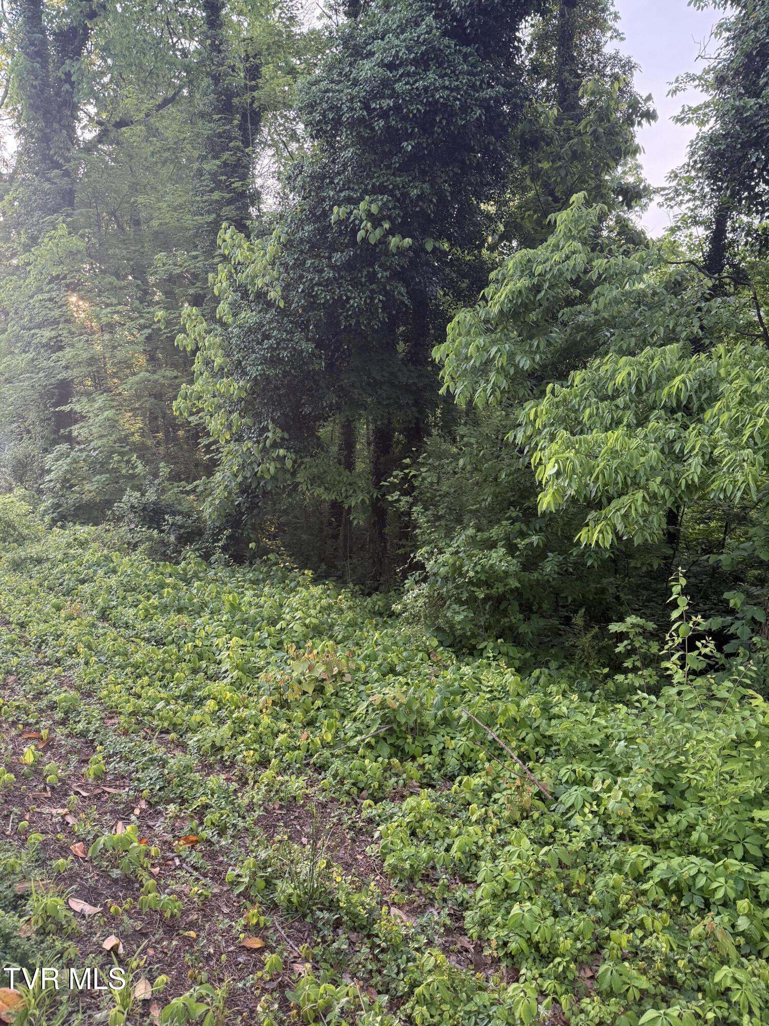 Property Photo:  Lot 17 Ashley Street  TN 37664 