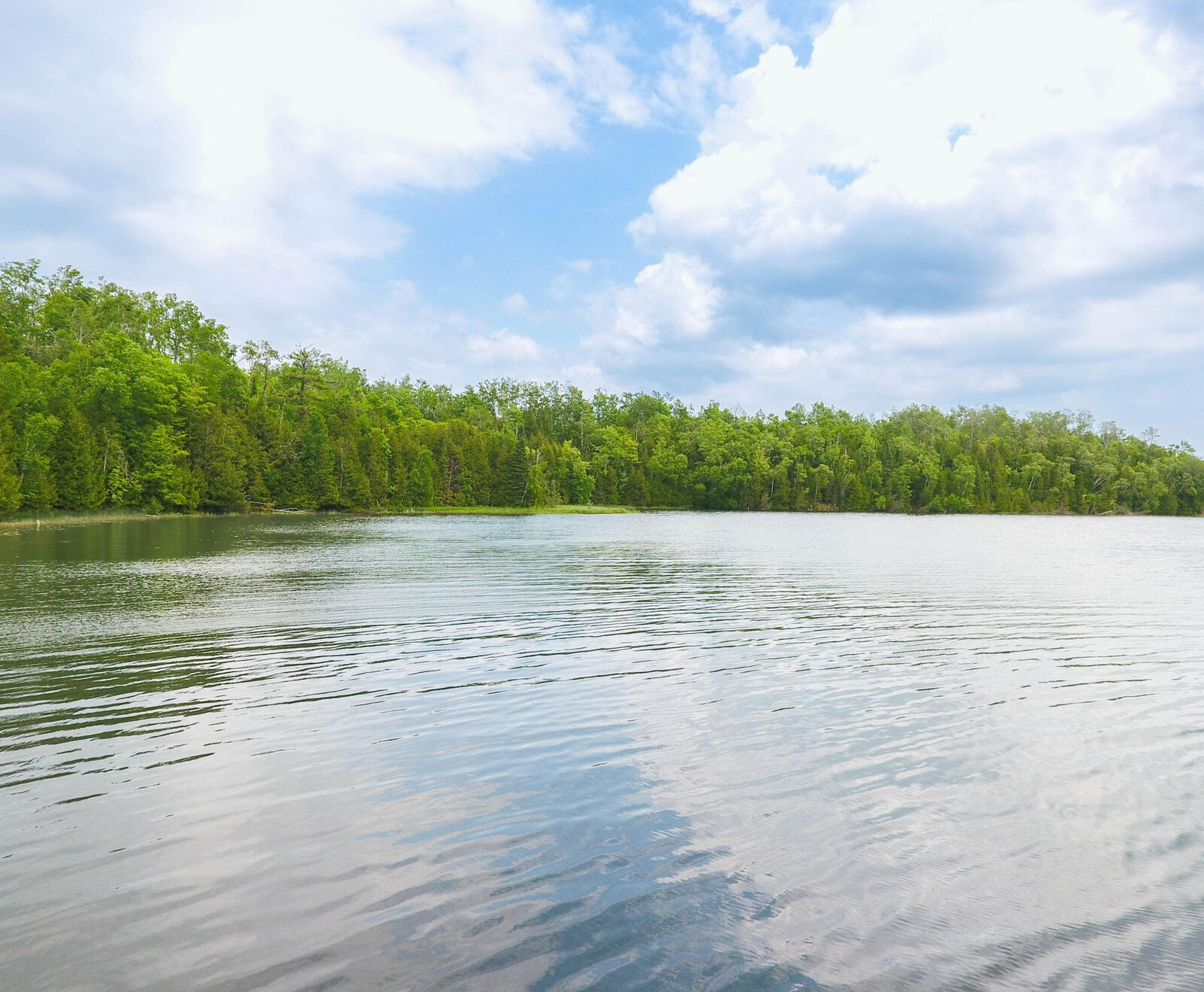 Property Photo: Lot H Forest Drive MI 49721