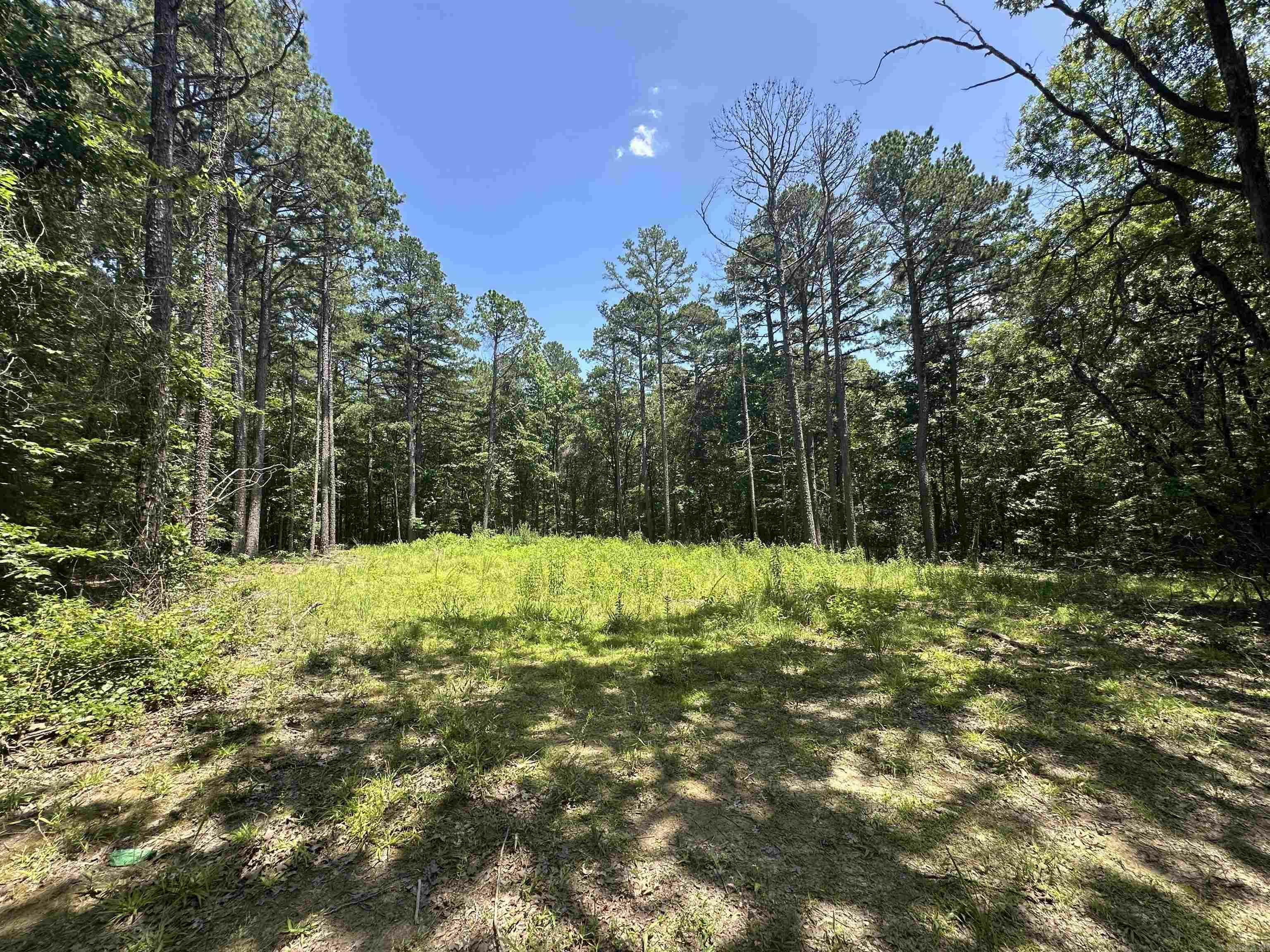 Property Photo:  160 Acres America Road  AR 72110 