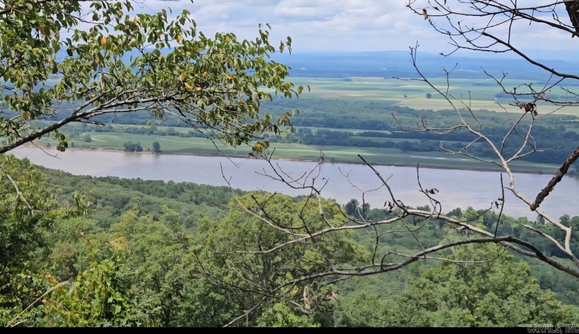 Property Photo: 160 Acres America Road AR 72110
