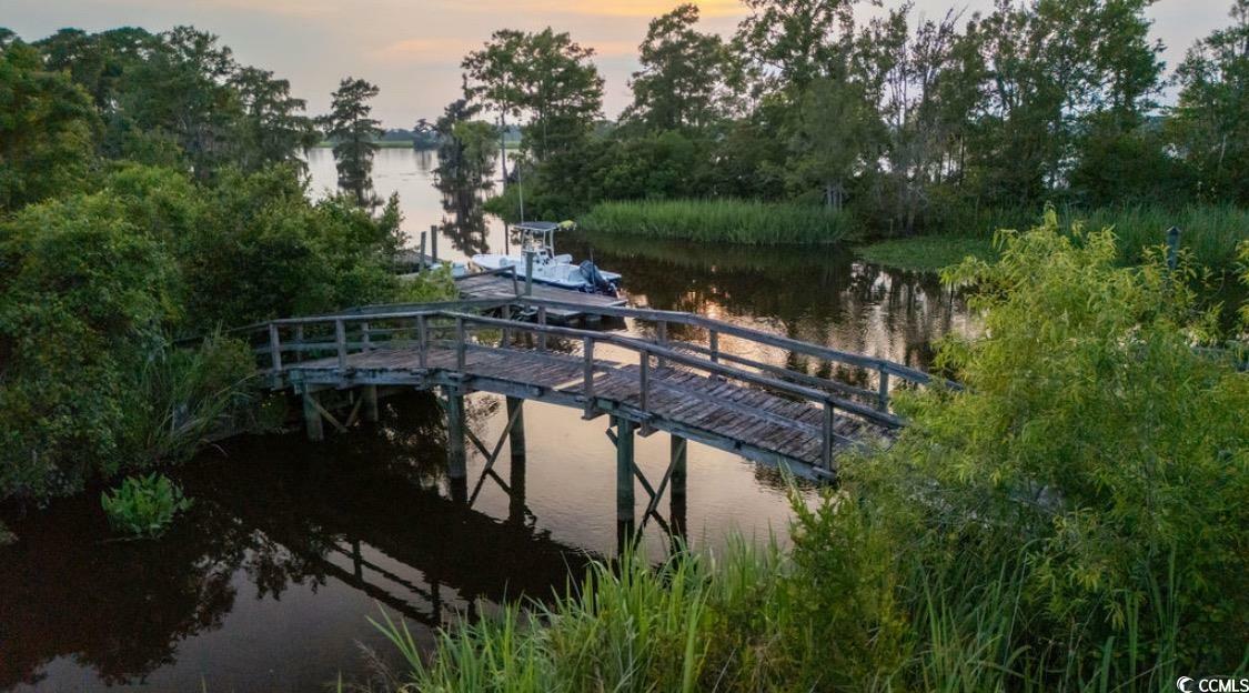 Property Photo:  313 Rossdhu Ave.  SC 29585 