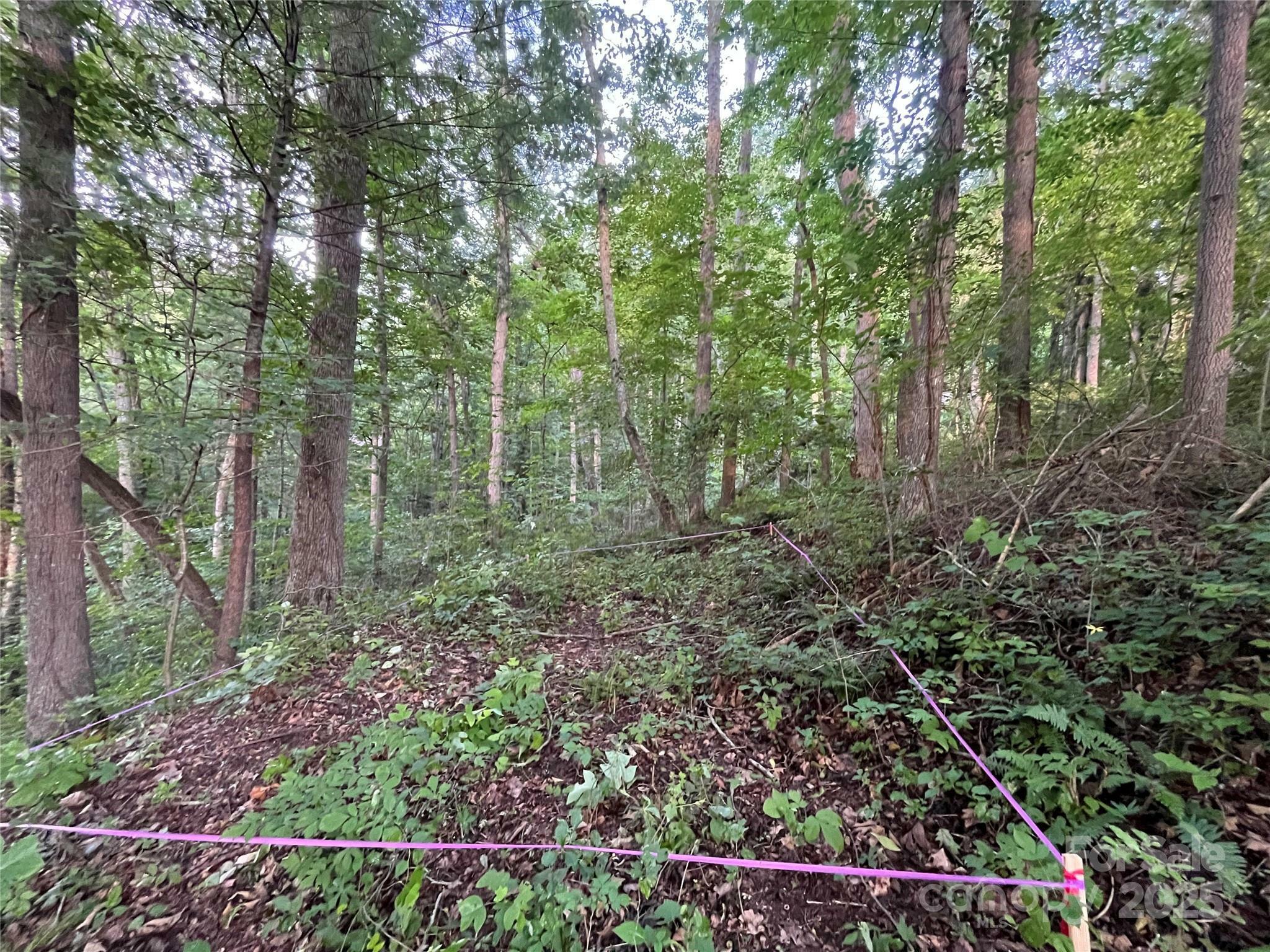 Property Photo: 48 Northside Drive NC 28804