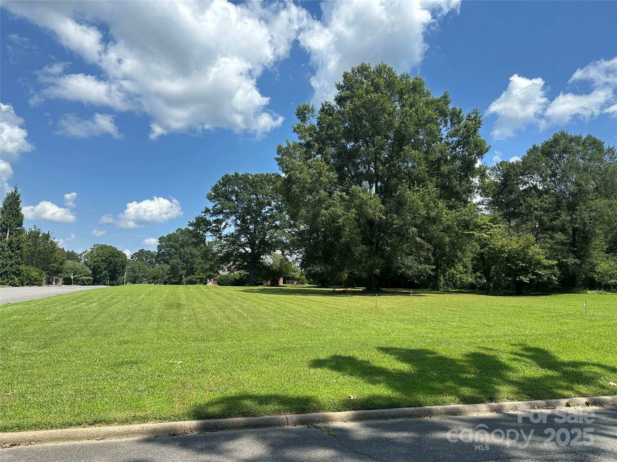 Property Photo: 336 Downing Drive NC 28086
