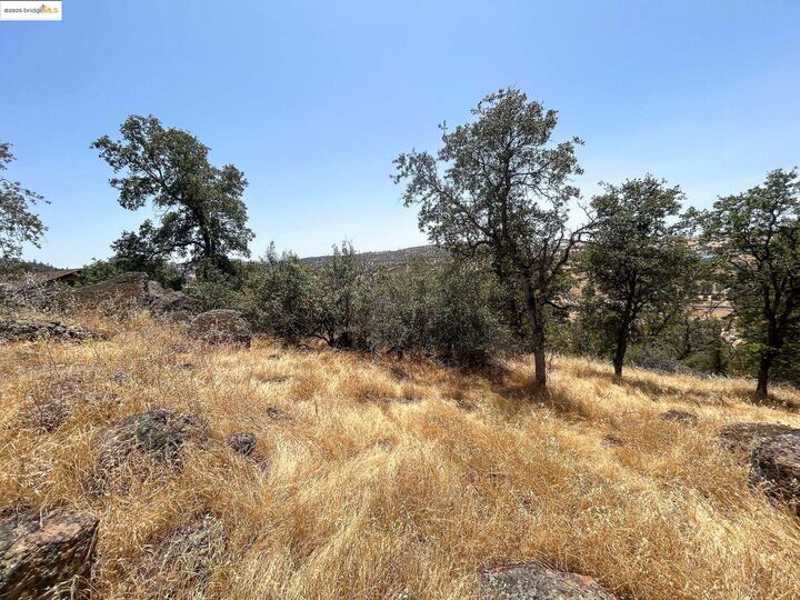 Property Photo:  850 Arbolada Drive  CA 95329 