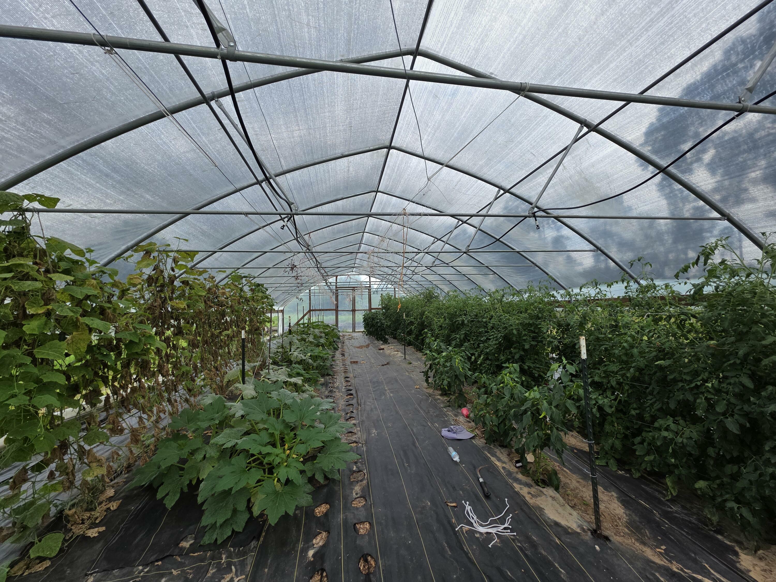 Property Photo: 6249 Highway 4 FL 32531