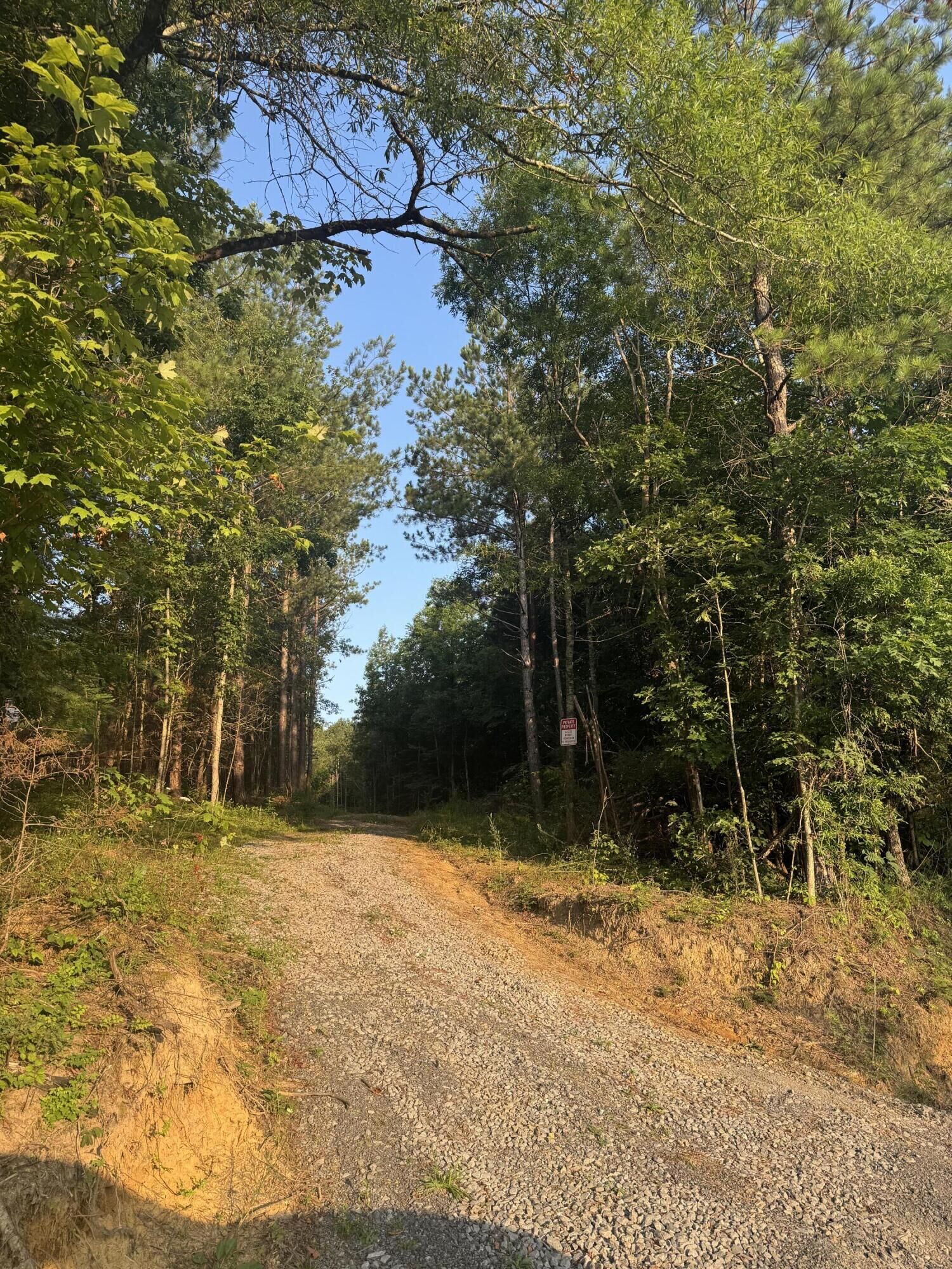 Property Photo:  119 Hail Hollow Road  TN 37322 