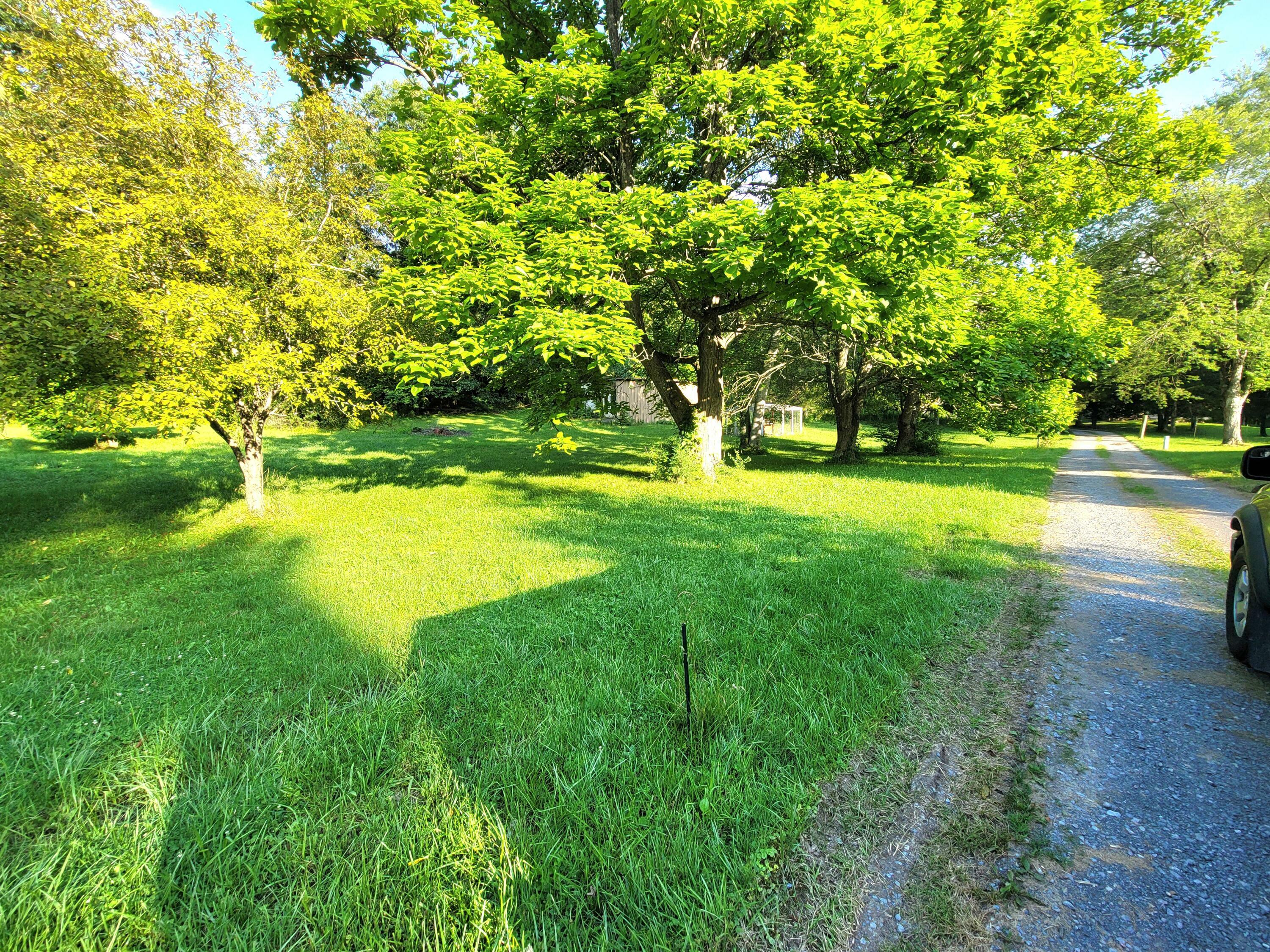 Property Photo: 291 Blankenship Rd WV 25951