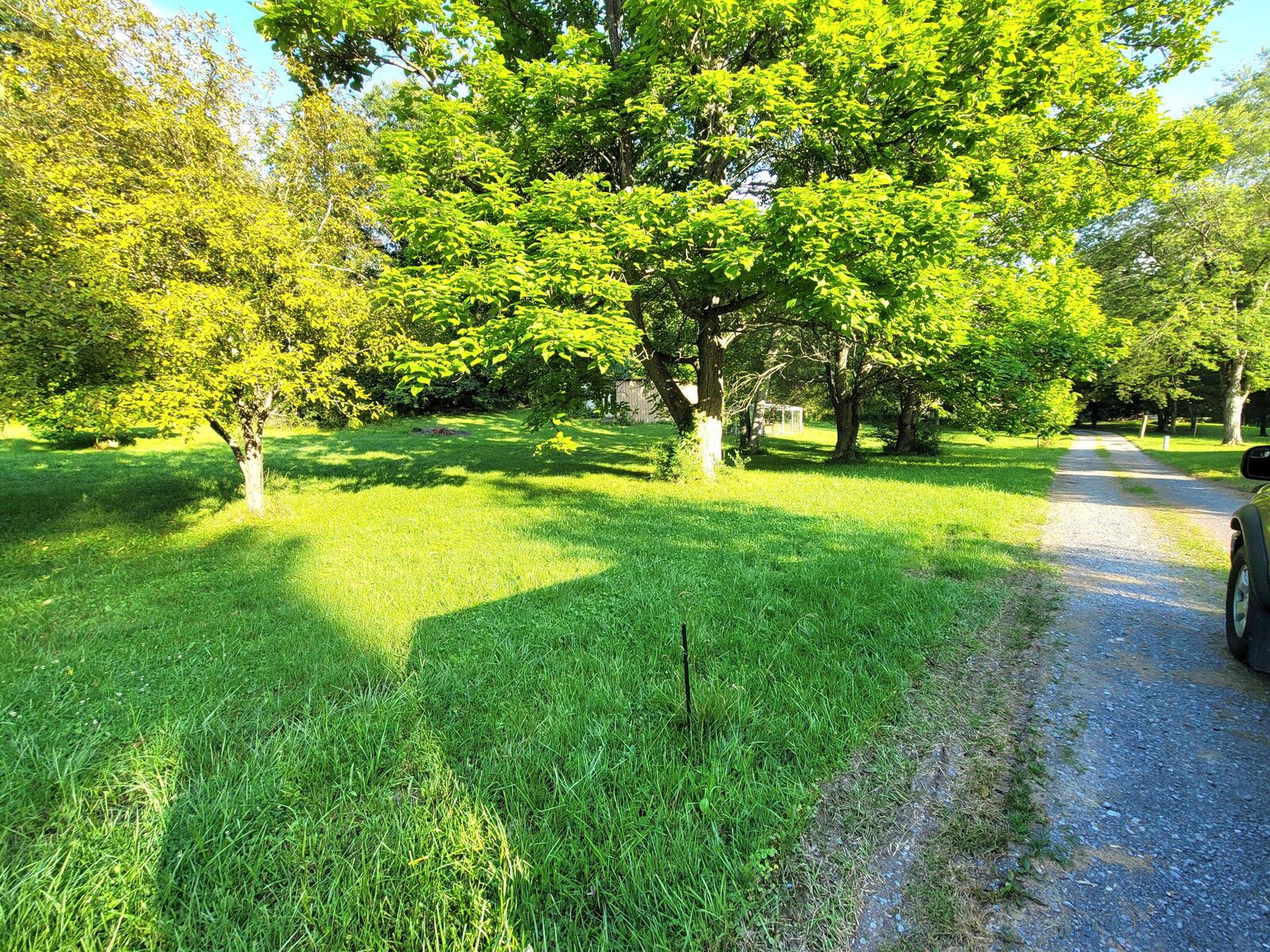 Property Photo: 291 Blankenship Rd WV 25951