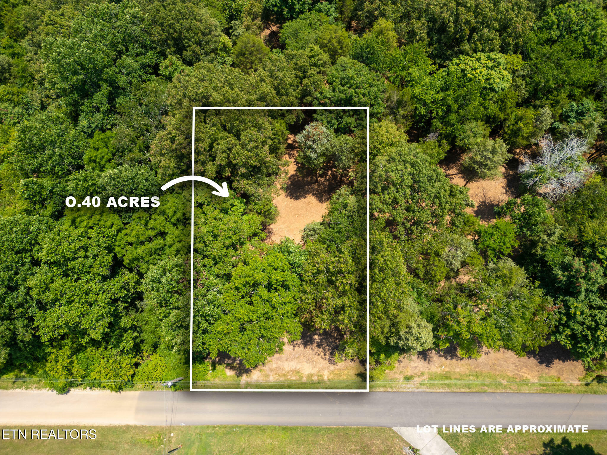 Property Photo: 171 Pinecrest Drive TN 37774