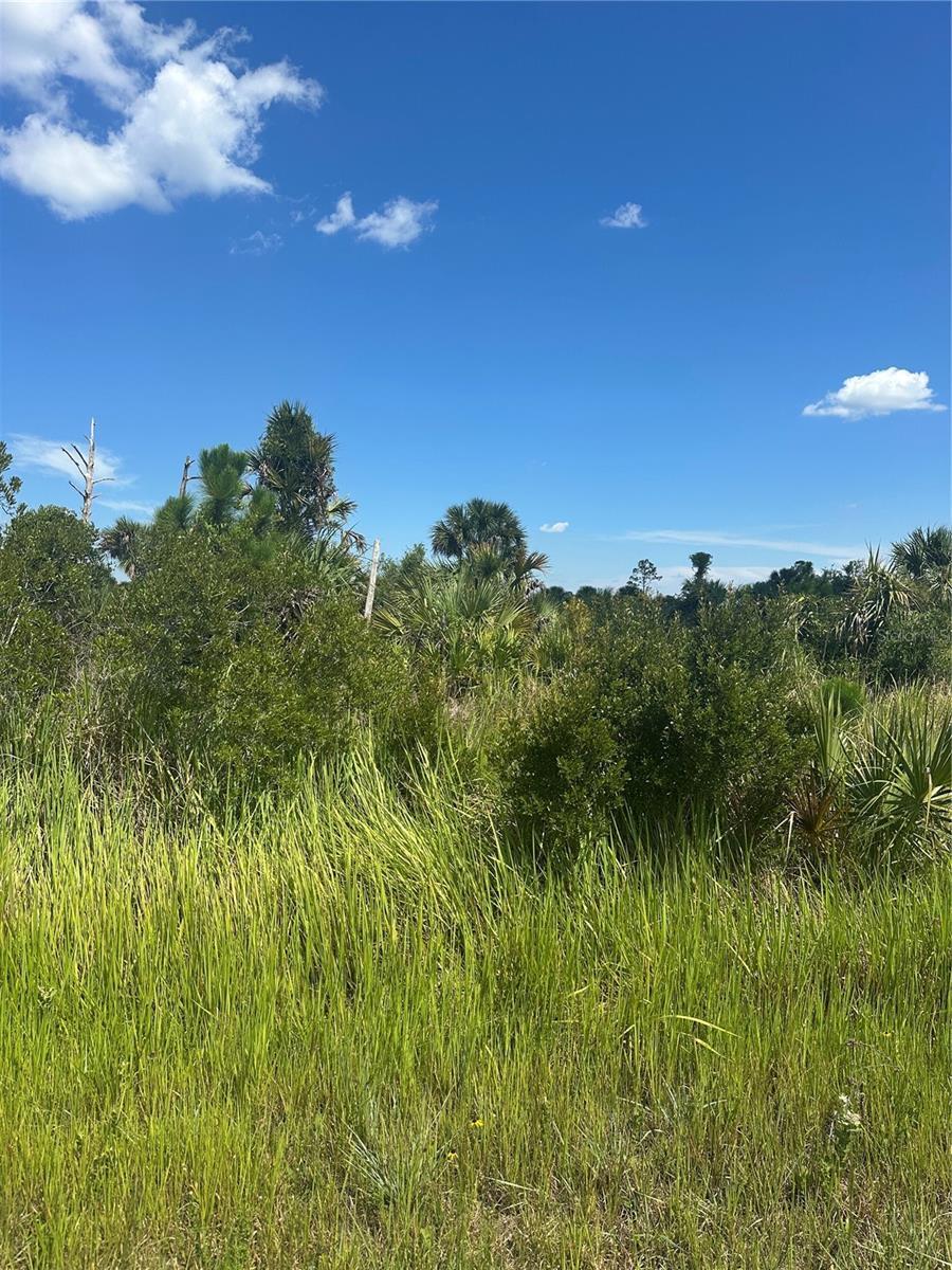 Property Photo: Boskoop Road FL 34288