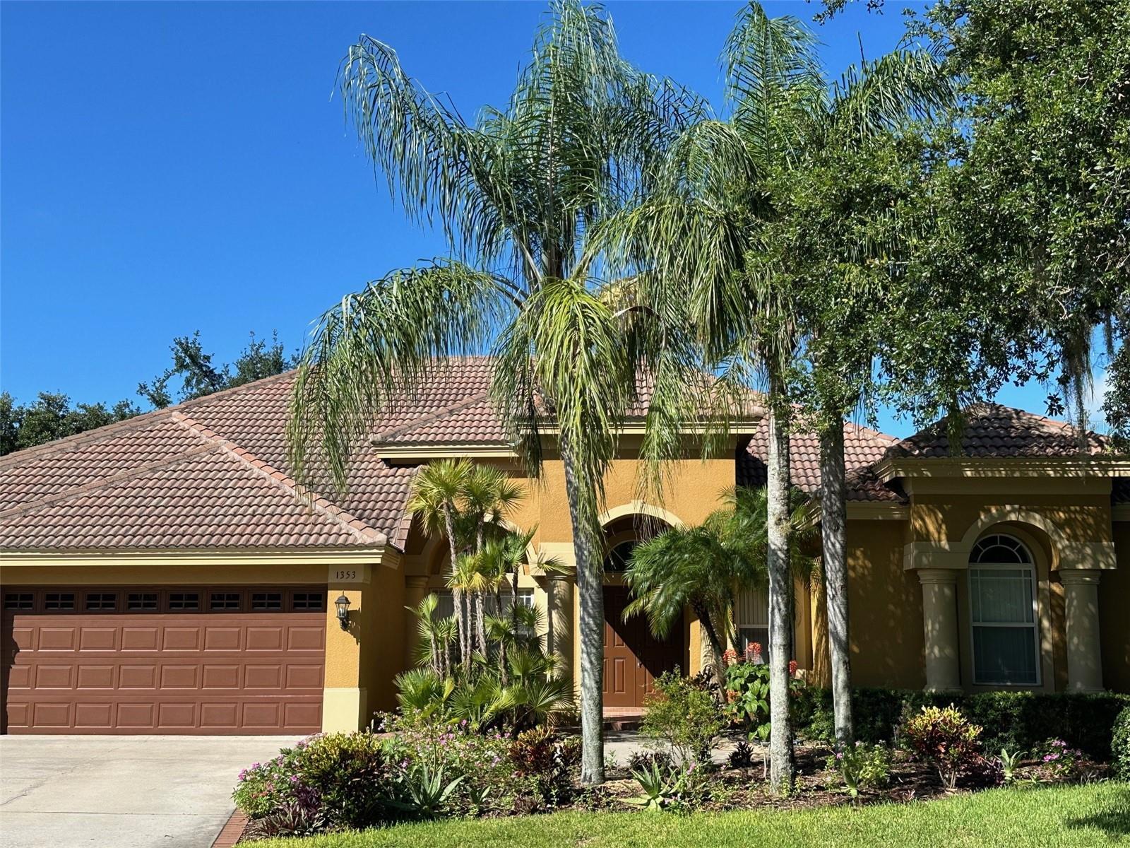 1353 El Pardo Drive  Trinity FL 34655 photo