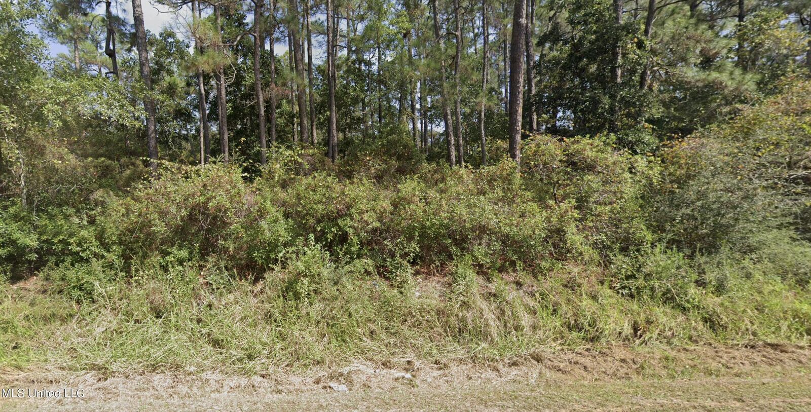 Property Photo:  W Pine Street  MS 39564 