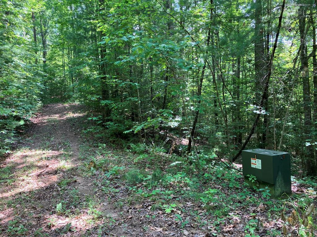 Property Photo: Lot 2 View Ridge Trail NC 28906