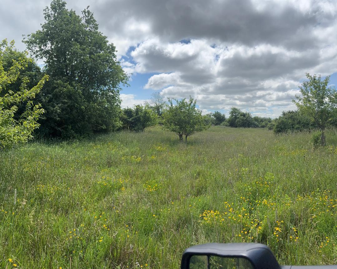 Property Photo: 3745 Jackson Road MI 49310