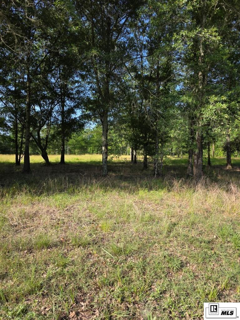Property Photo: Lot 16 Carey Smith Road LA 71259