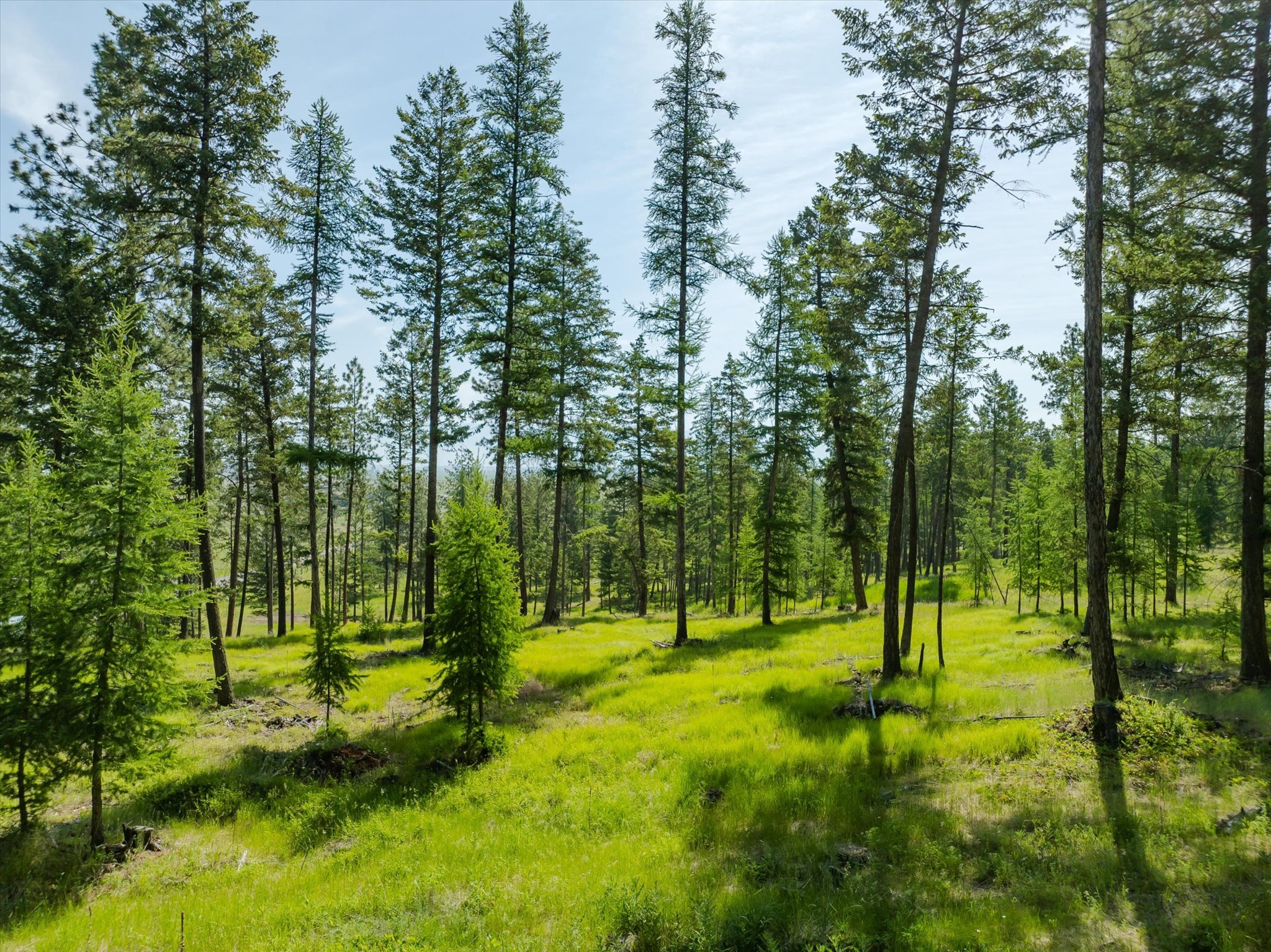 Property Photo: Nhn Northern Larch Trail Lot 62 MT 59901
