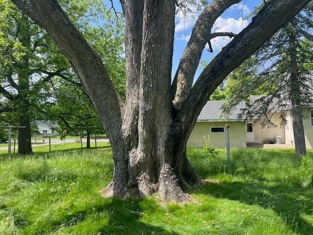 Property Photo: 241 South Street W WI 54001