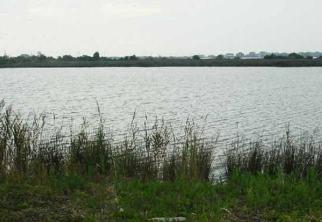 Property Photo:  Lot 16 Lone Cedar Court  NC 27959 