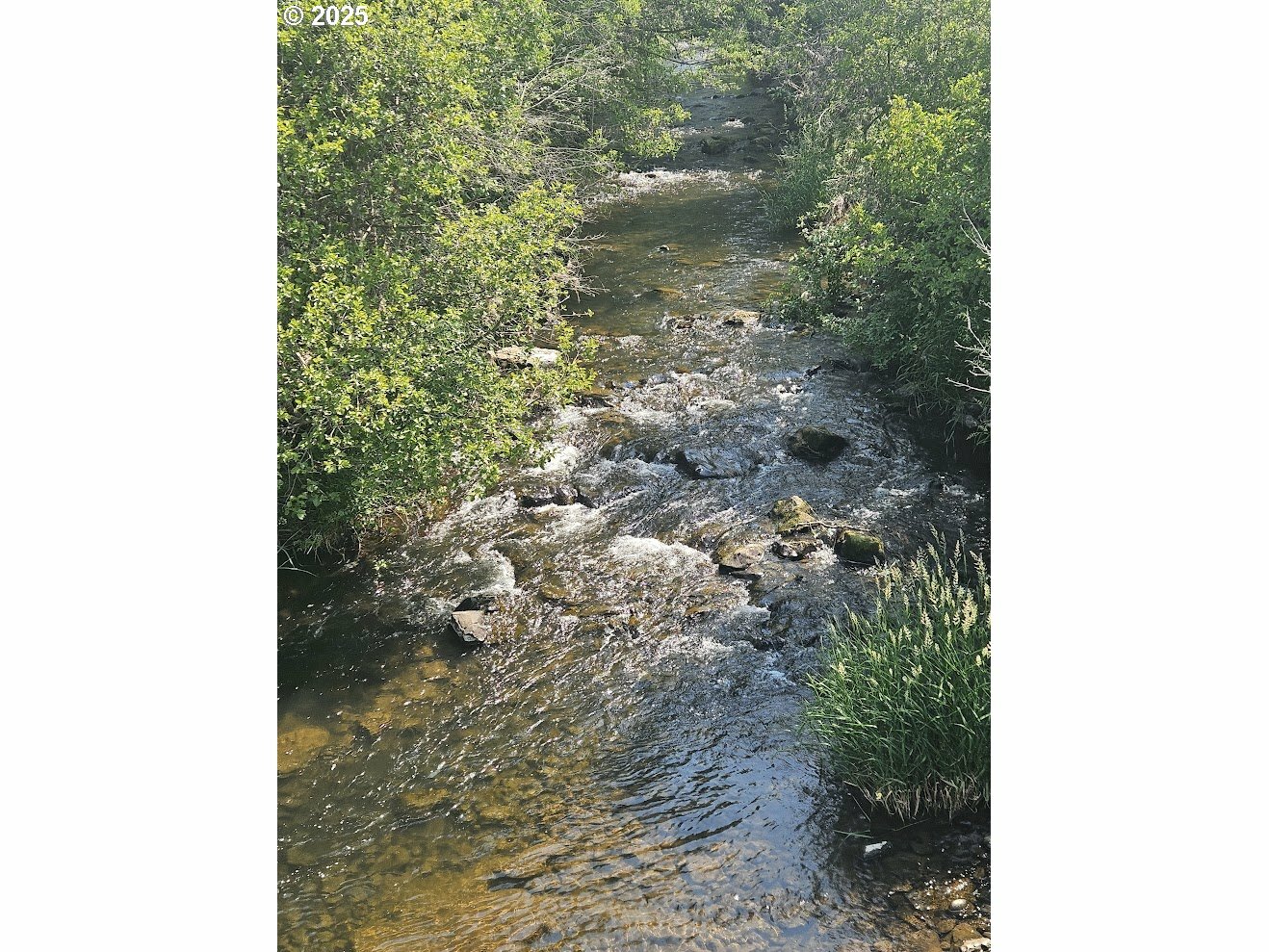 Property Photo: Olson Rd WA 98613