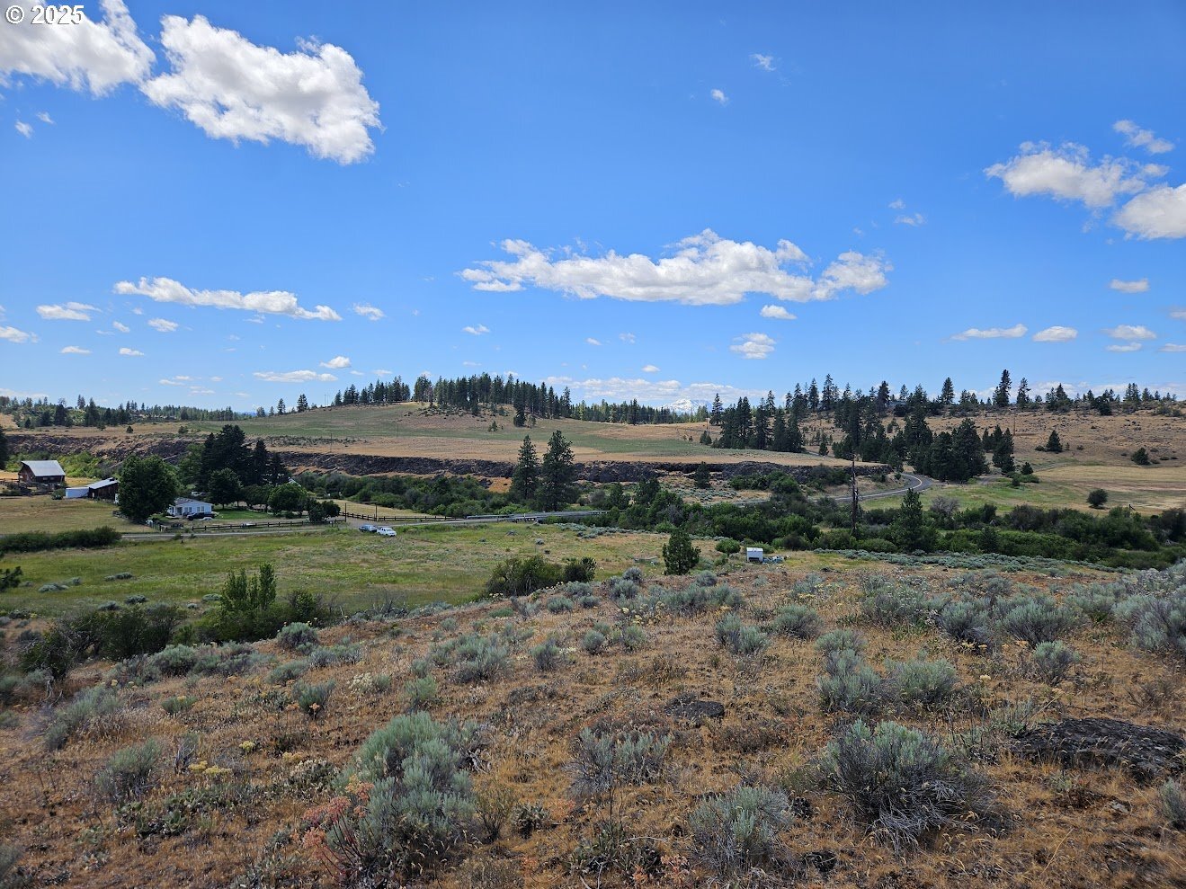 Property Photo:  Olson Rd  WA 98613 
