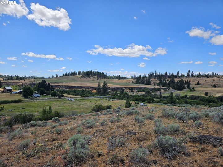 Property Photo: Olson Rd WA 98613