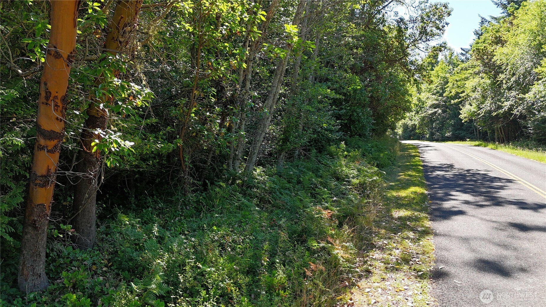Property Photo: 0 Woodland Drive WA 98368