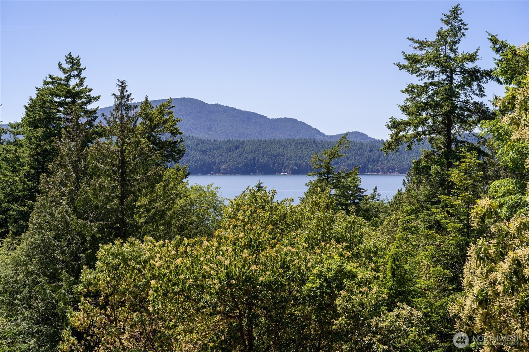 Property Photo:  227  Bromley Dr  WA 98245 