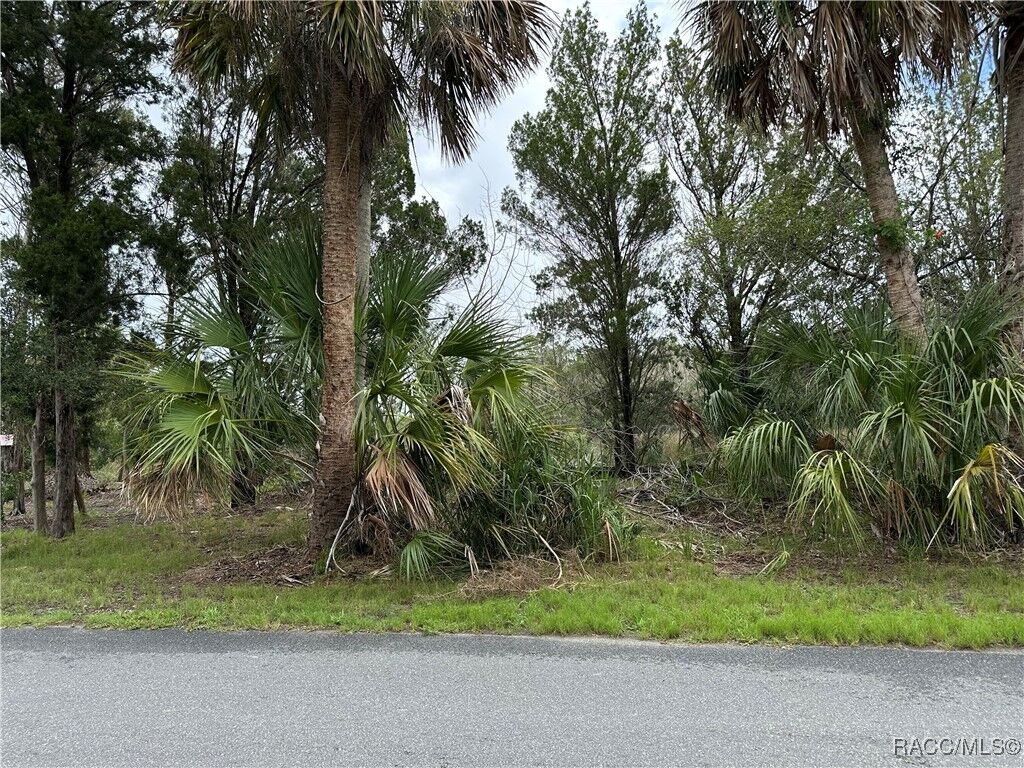 Property Photo:  12345 W Standish Drive  FL 34448 